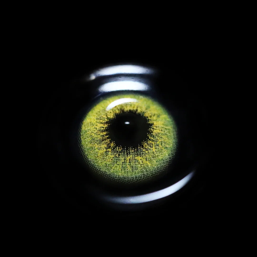 Lente de contacto colorida ParrotGreen da V. Color Lenses — Verde tropical intenso e saturado — o mais vibrante da linha Siesta. (vista adicional 4)
