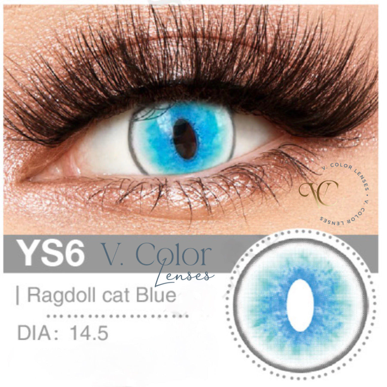 Farbige Kontaktlinsen - YS6 Ragdoll Cat Blue