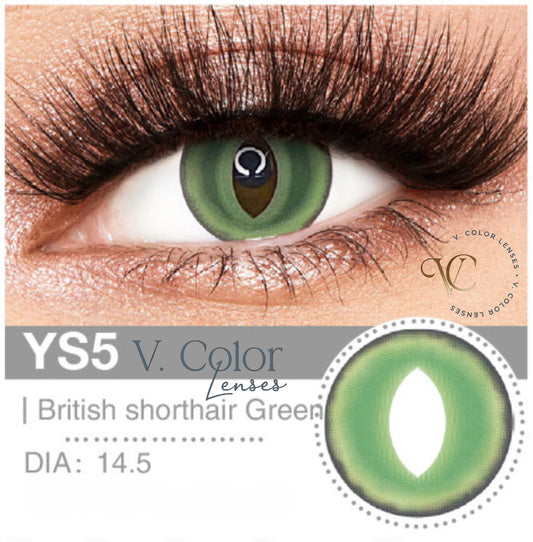 Lente de contacto colorida YS5 British Shorthair Green da V. Color Lenses — Verde felino com pupila em fenda vertical e degradê até ao bordo escuro.