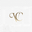 V. Color Lenses logo